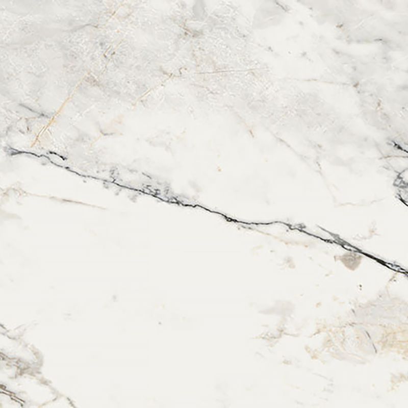 Aesthetica Paonazzetto