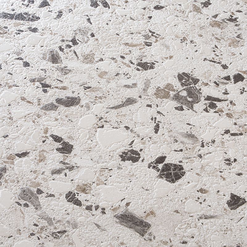 Neoclassica Aulite
