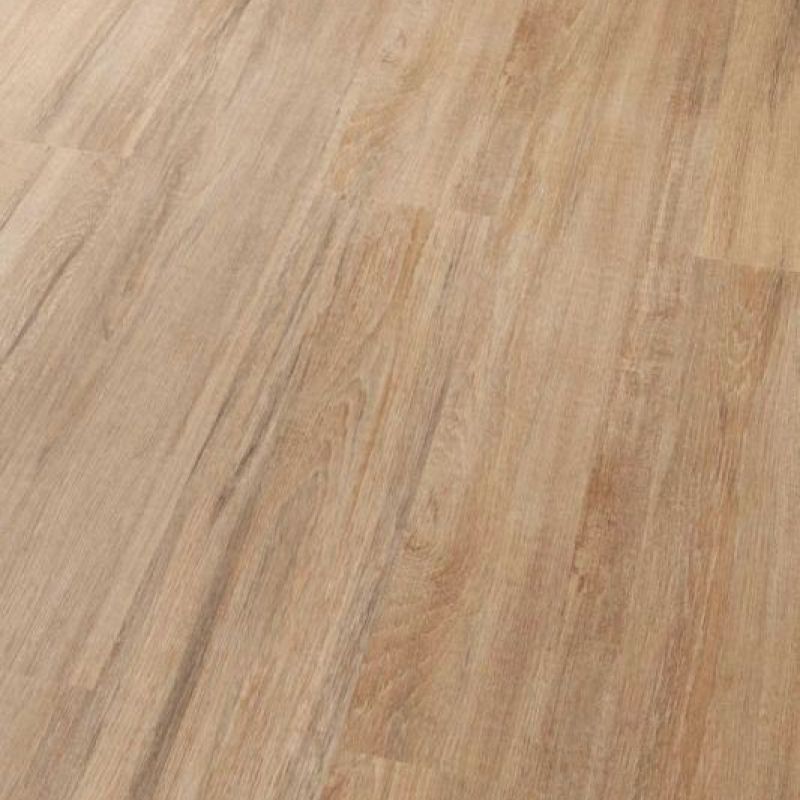 Contempo Copper