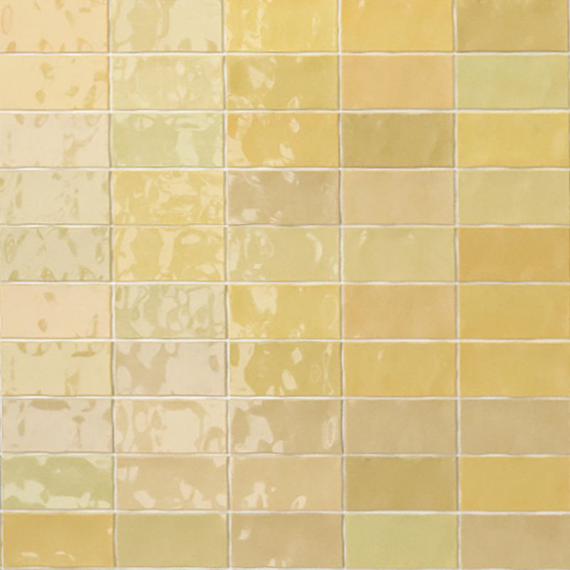 Fez Mustard Gloss